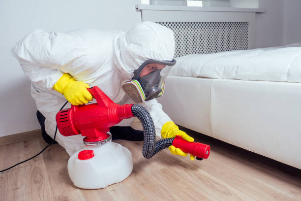 Emergency Pest Control Services in Roslyn Estates, NY